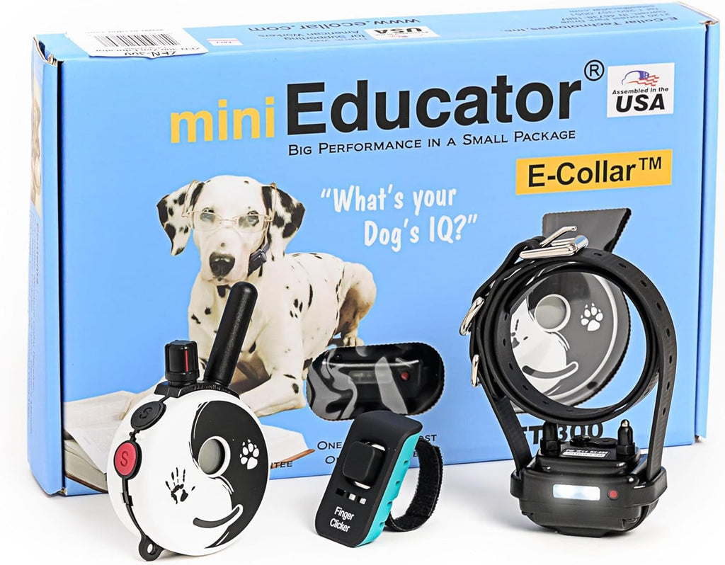 Collar entrenamiento remoto perro obediente al aire libre